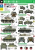 1/35 Polish Tanks in Italy #1