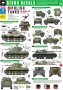1/35 Polish Tanks in Italy #1